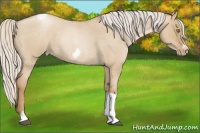 Horse Color:Silver Grullo Roan Pearl Tobiano Frame 