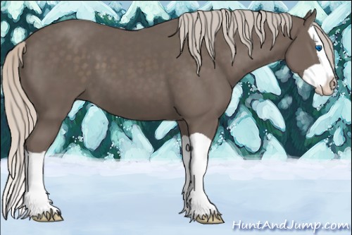 Horse Color:Silver Black Splash