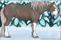Horse Color:Silver Black Splash 