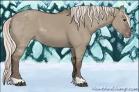 Horse Color:Silver Grullo Varnish