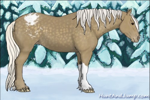Horse Color:Silver Smoky Black Varnish