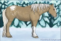 Horse Color:Silver Smoky Black Varnish