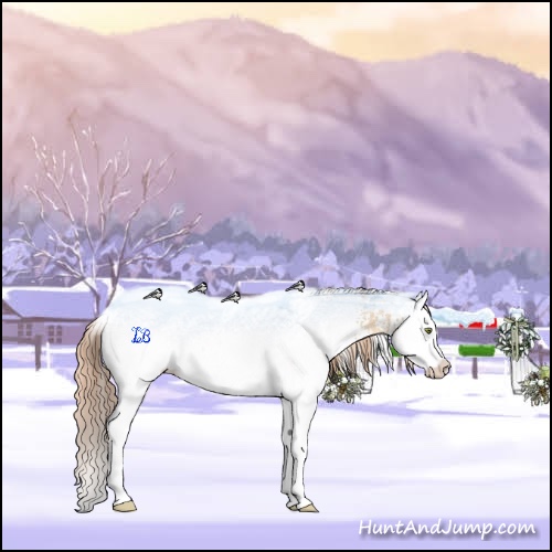 Horse Color:White Spotted Gold Champagne Dun Splash 