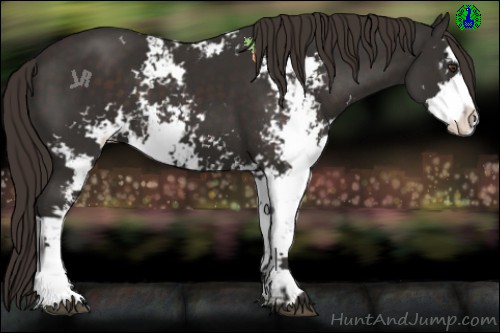 Horse Color:Liver Chestnut Sabino