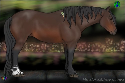 Horse Color:Brown Sabino