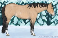 Horse Color:Bay Roan Dun Sabino