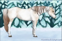 Horse Color:White Spotted Red Dun Tobiano 