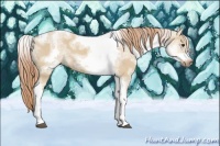 Horse Color:White Spotted Red Dun Tobiano Frame 