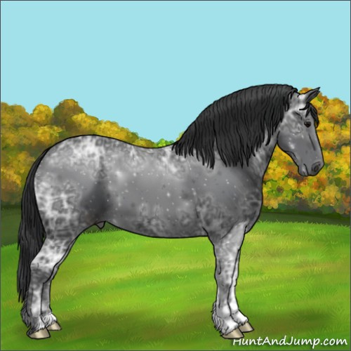 Horse Color:Black Ice
