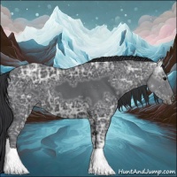 Horse Color:Black Ice 