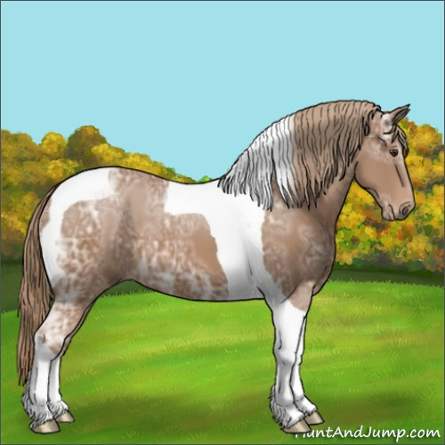 Horse Color:Chestnut Ice Tobiano 