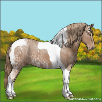 Horse Color:Chestnut Ice Tobiano