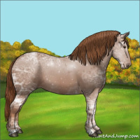 Horse Color:Chestnut Ice 