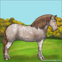 Horse Color:Chestnut Ice 
