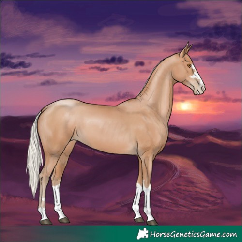 Horse Color:Silver Black Pearl 