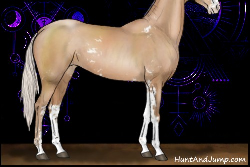 Horse Color:Silver Black Pearl Sabino Rabicano 