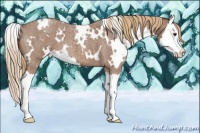 Horse Color:White Spotted Red Roan Splash