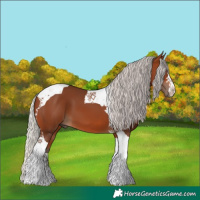 Horse Color:Silver Brown Tobiano 
