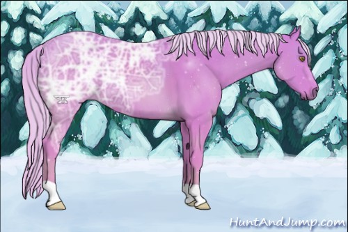 Horse Color:Watercolor Palomino Ice 