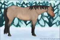 Horse Color:Bay Roan Dun 