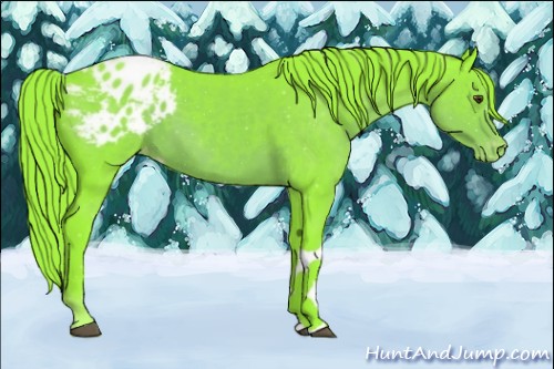 Horse Color:Watercolor Liver Chestnut Appaloosa
