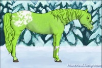 Horse Color:Watercolor Liver Chestnut Appaloosa 