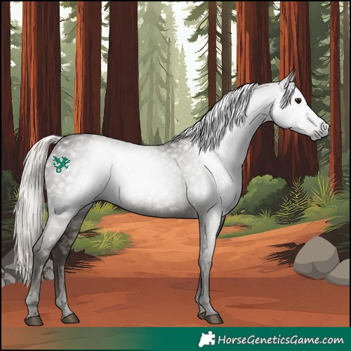 Horse Color:Gray Silver Smoky Black