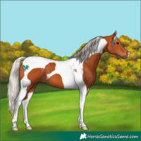 Horse Color:Silver Bay Tobiano 