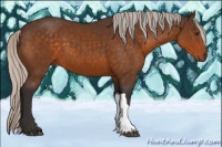 Horse Color:Silver Buckskin