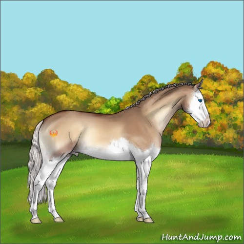 Horse Color:Silver Bay Onyx Splash 