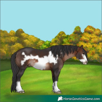 Horse Color:Brown Mushroom Frame 