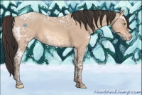 Horse Color:Amber Champagne Ice Roan 