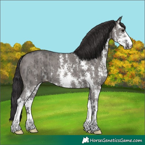 Horse Color:Smoky Grullo Sabino Brindle 