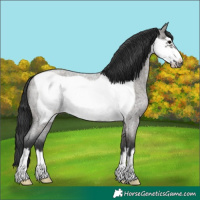 Horse Color:Grullo Roan Frame 