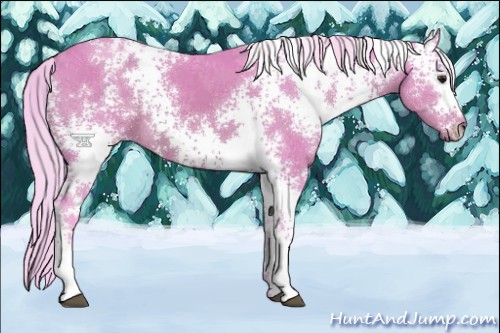 Horse Color:Watercolor White Spotted Silver Bay 