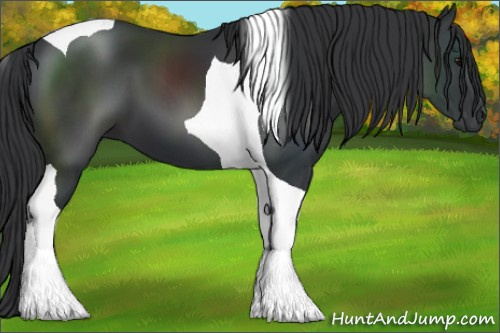 Horse Color:Black Tobiano 