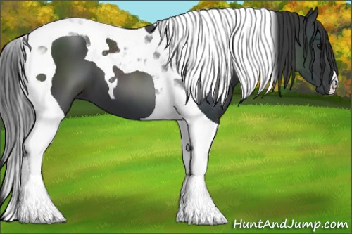 Horse Color:Black Tobiano 