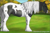 Horse Color:Black Tobiano 