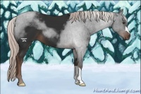 Horse Color:Liver Chestnut Mushroom 