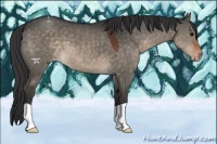 Horse Color:Brown Dun Varnish 