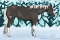 Horse Color:Liver Chestnut Mushroom 