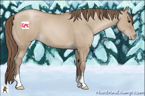 Horse Color:Grullo Pearl 