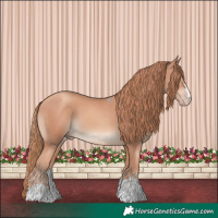Horse Color:Gold Champagne 