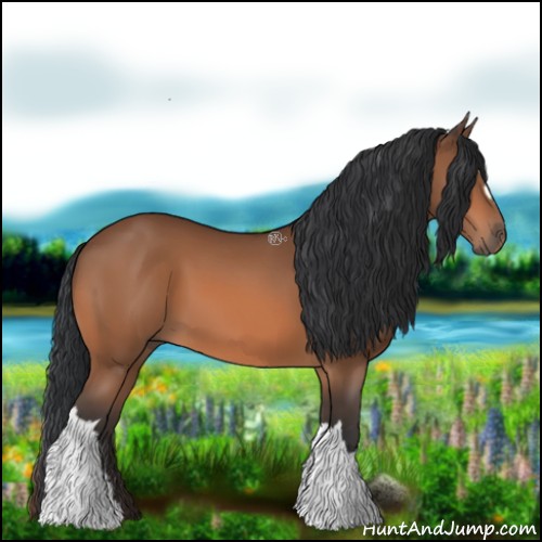 Horse Color:Bay 