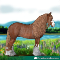 Horse Color:Chestnut Rabicano 