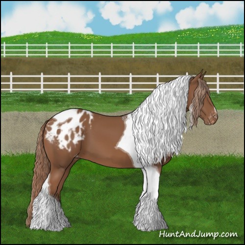 Horse Color:Chestnut Tobiano Blanket 