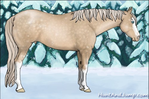 Horse Color:White Spotted Chocolate Palomino Pearl