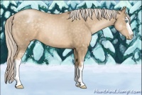 Horse Color:White Spotted Chocolate Palomino Pearl 