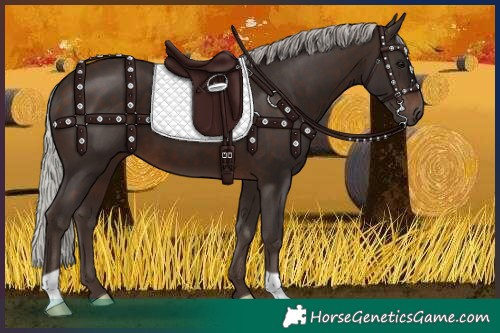 Horse Color:Silver Brown 