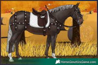 Horse Color:Silver Brown 